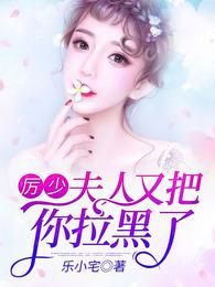 厉少宠妻入骨陆晚晚