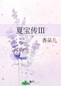 夏宝传Ⅲ
