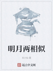 明月两相似
