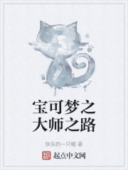 宝可梦之大师之路