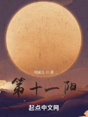 第十一阳
