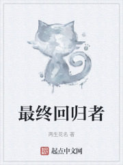 最终回归者