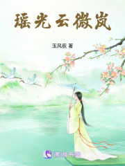 瑶光云微岚