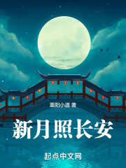 新月照长安