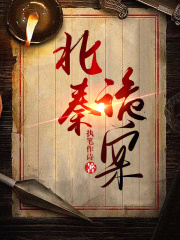 北秦诡案