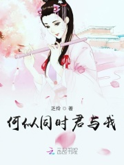 何似同时君与我