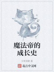 魔法帝的成长史