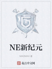 NE新纪元