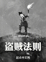 盗贼法则