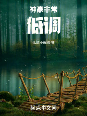 神豪非常低调