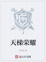 天梯荣耀