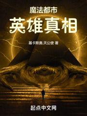魔法都市：英雄真相