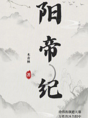 阳帝纪