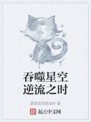 吞噬星空逆流之时