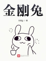 金刚兔