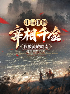 开局推倒宰相千金，我被流放岭南