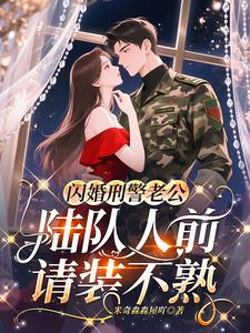 闪婚刑警老公，陆队人前请装不熟