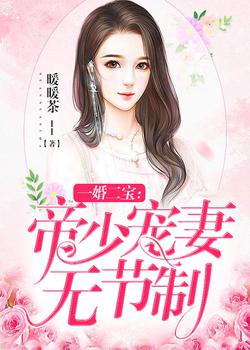 总裁，宠妻请节制